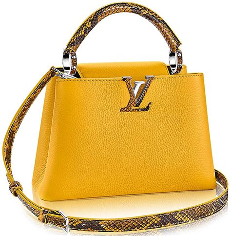 lv capucines bb price|louis vuitton capucines bag price.